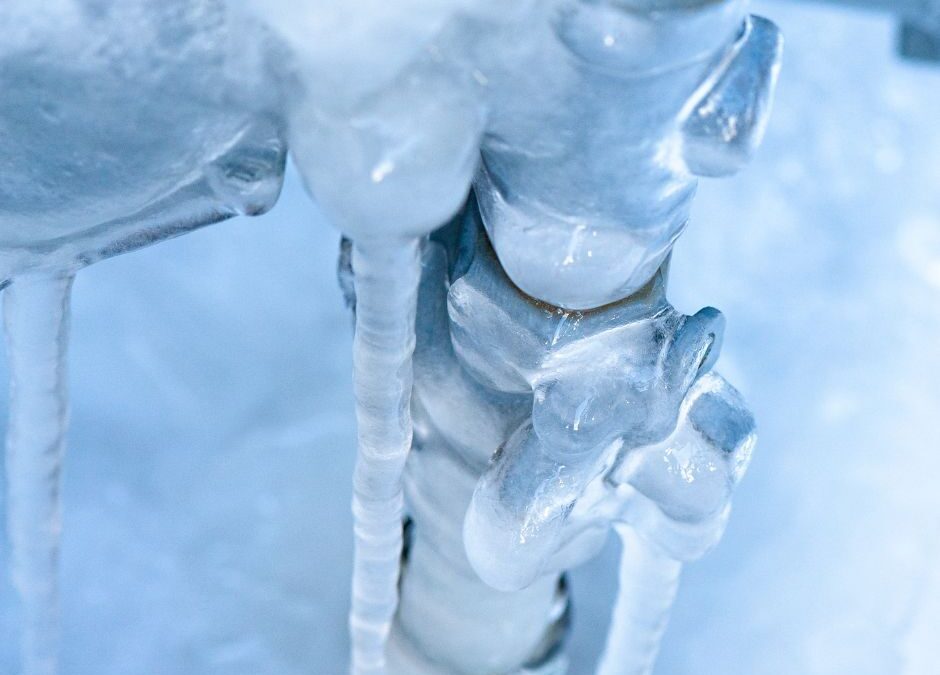 Frozen_Pipes_(1)