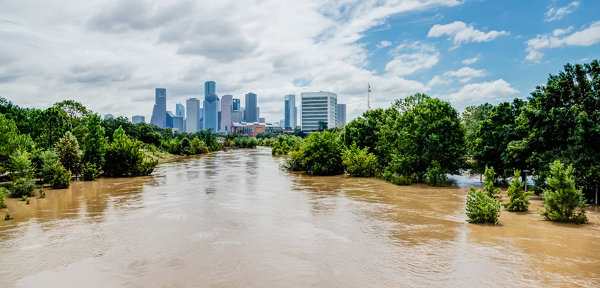 kalivas-banner-summer-flood kalivas-banner-summer-flood